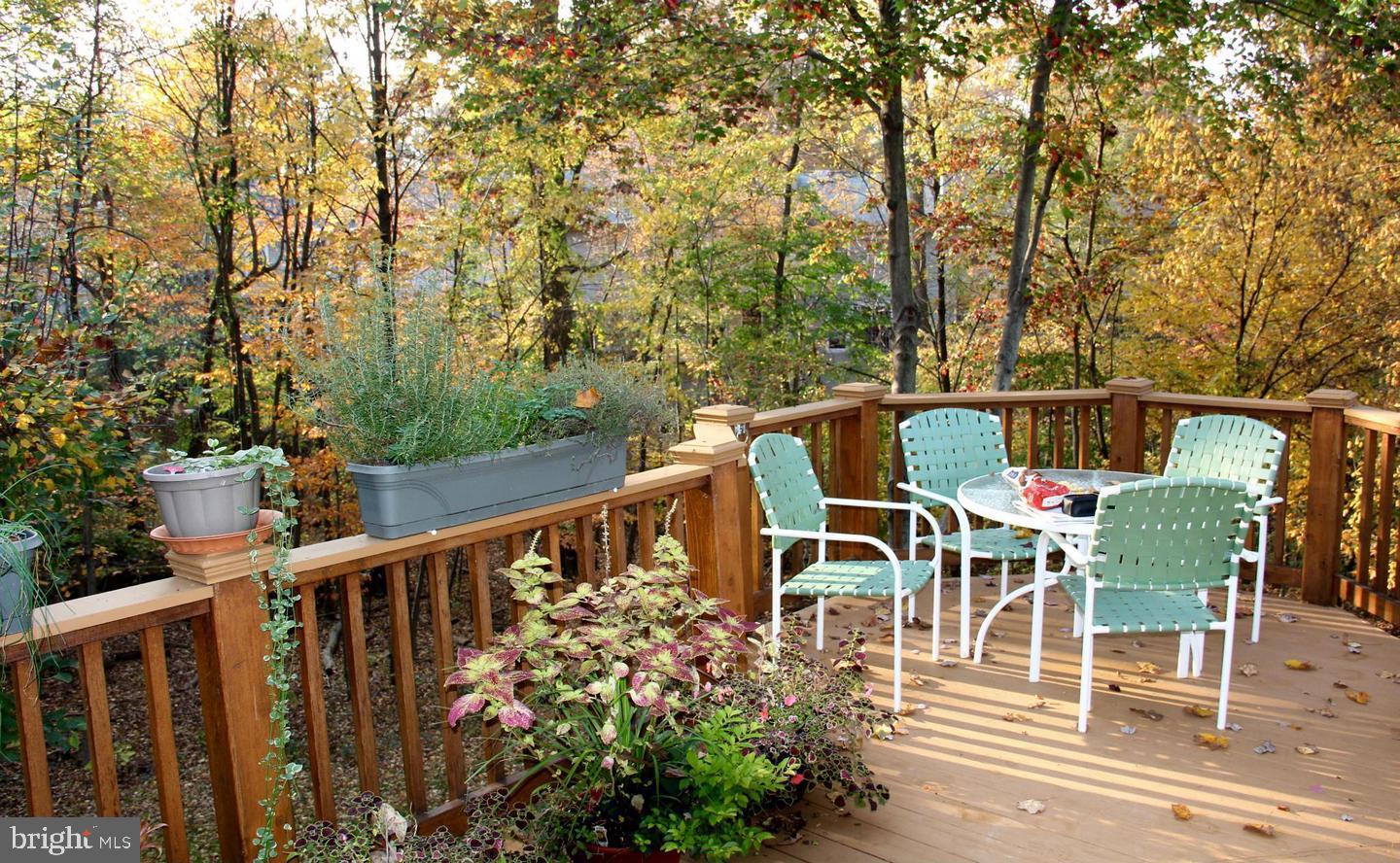 12014 Saw Mill Court Silver Spring, MD 20902 - Photo 23 of 26