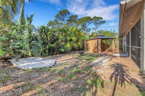 a view of a backyard with potted plants and large tree