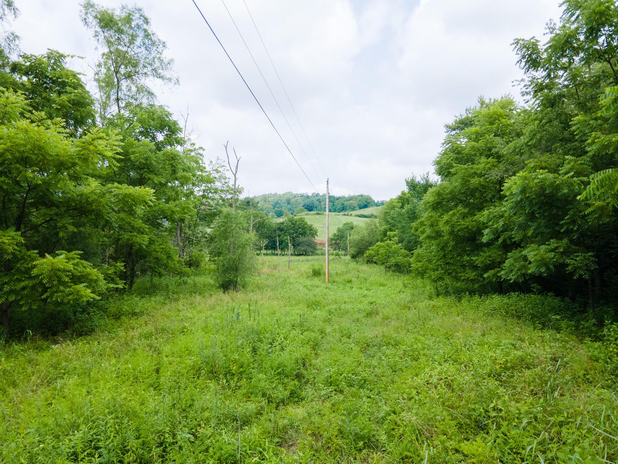 0 White Eyes Road Norwich, OH 43767 - Photo 11 of 14 DJI_0024