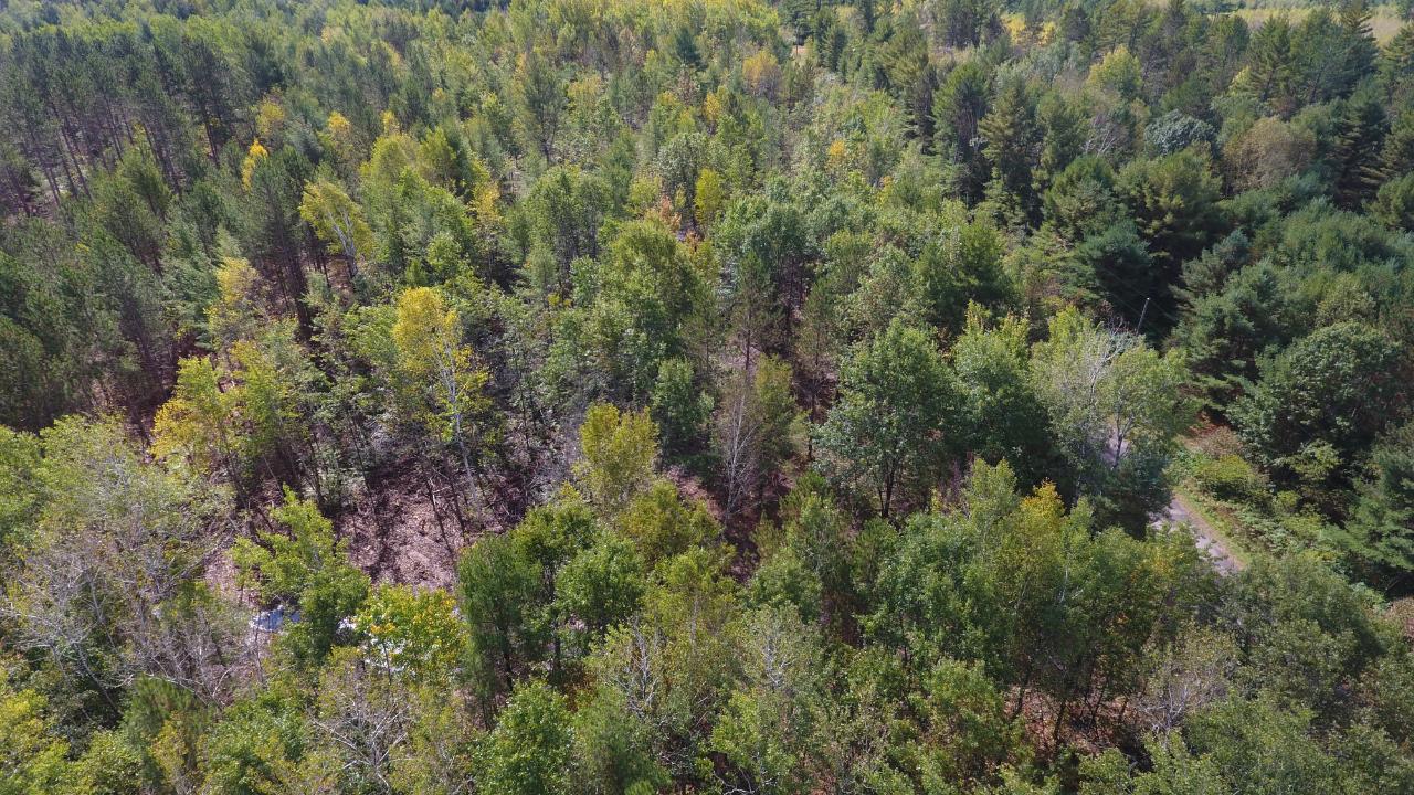 On On Pine Square Road, Unit 11 9 ACRES Tomahawk, WI 54487 - Photo 5 of 20 Gallery Image 5
