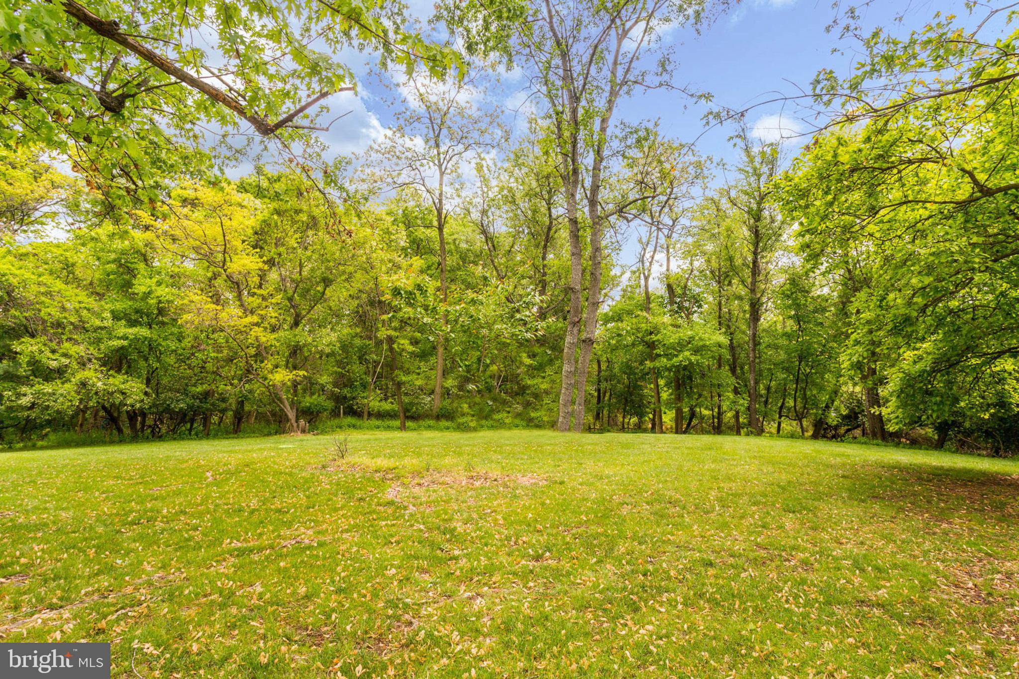 6015 Brooklyn Bridge Road Laurel, MD 20707 - Photo 50 of 52 Level rear yard!