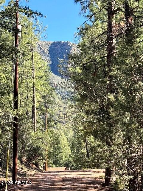 690 Tonto Rim Drive Payson, AZ 85541 - Photo 23 of 25