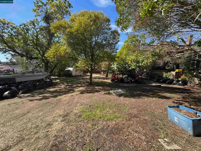a view of a park with large trees