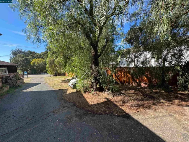 a view of yard with tree