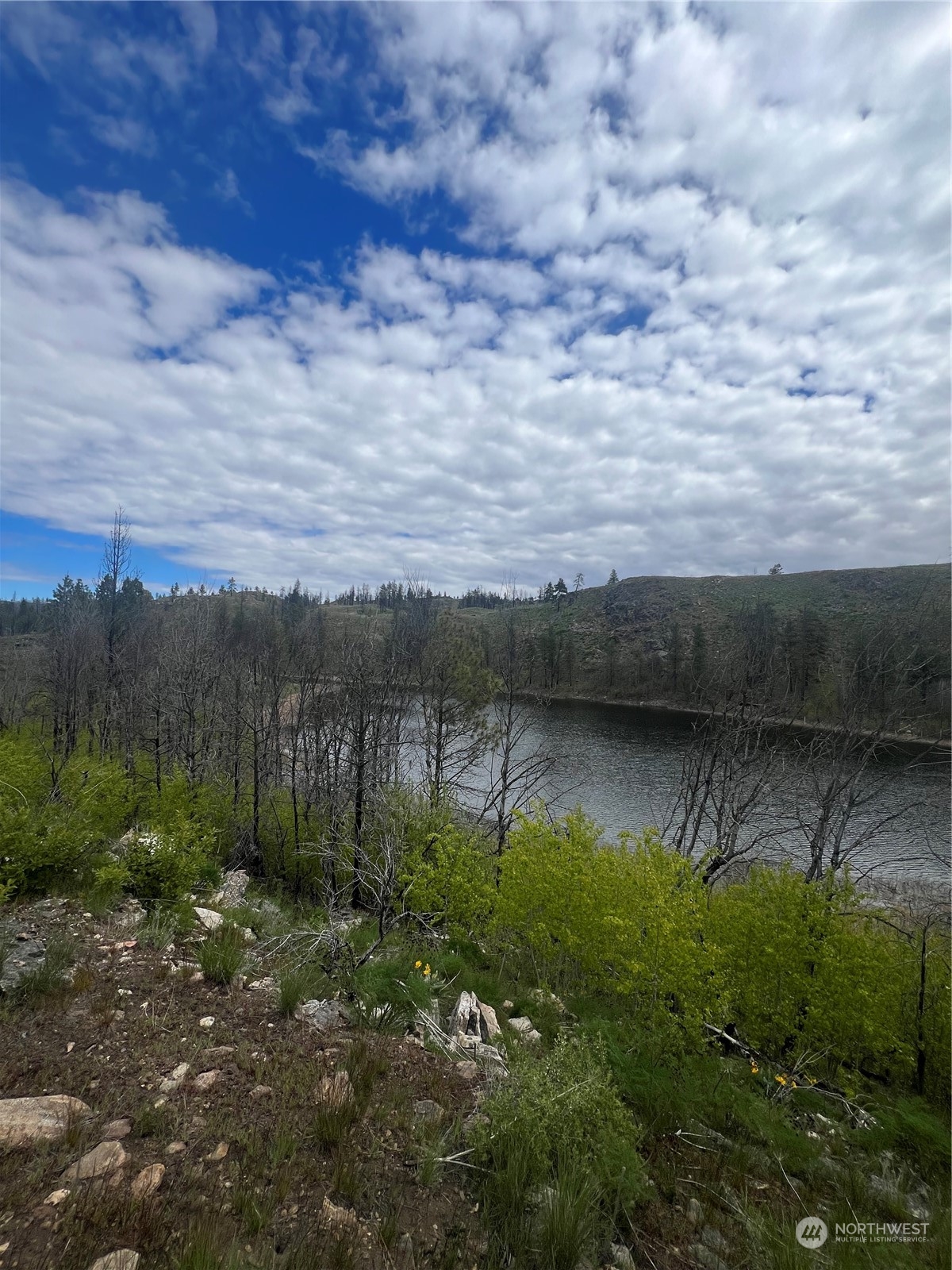 0 Tbd Madd Mountain Road Okanogan, WA 98840 - Photo 1 of 18 Gallery Image 1