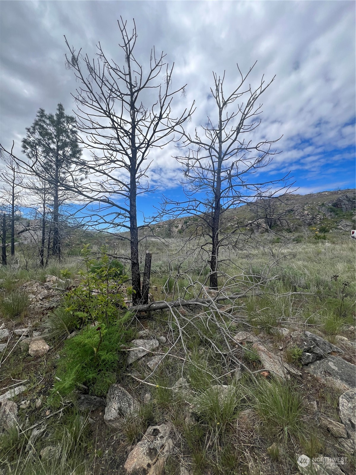 0 Tbd Madd Mountain Road Okanogan, WA 98840 - Photo 13 of 18 Gallery Image 13