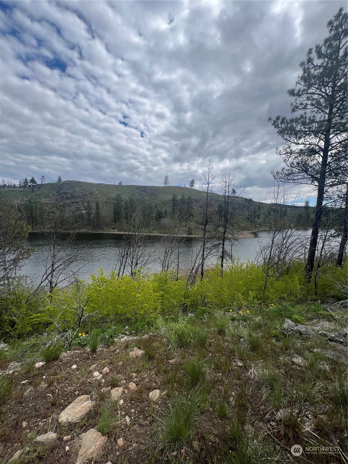 0 Tbd Madd Mountain Road Okanogan, WA 98840 - Photo 14 of 18 Gallery Image 14