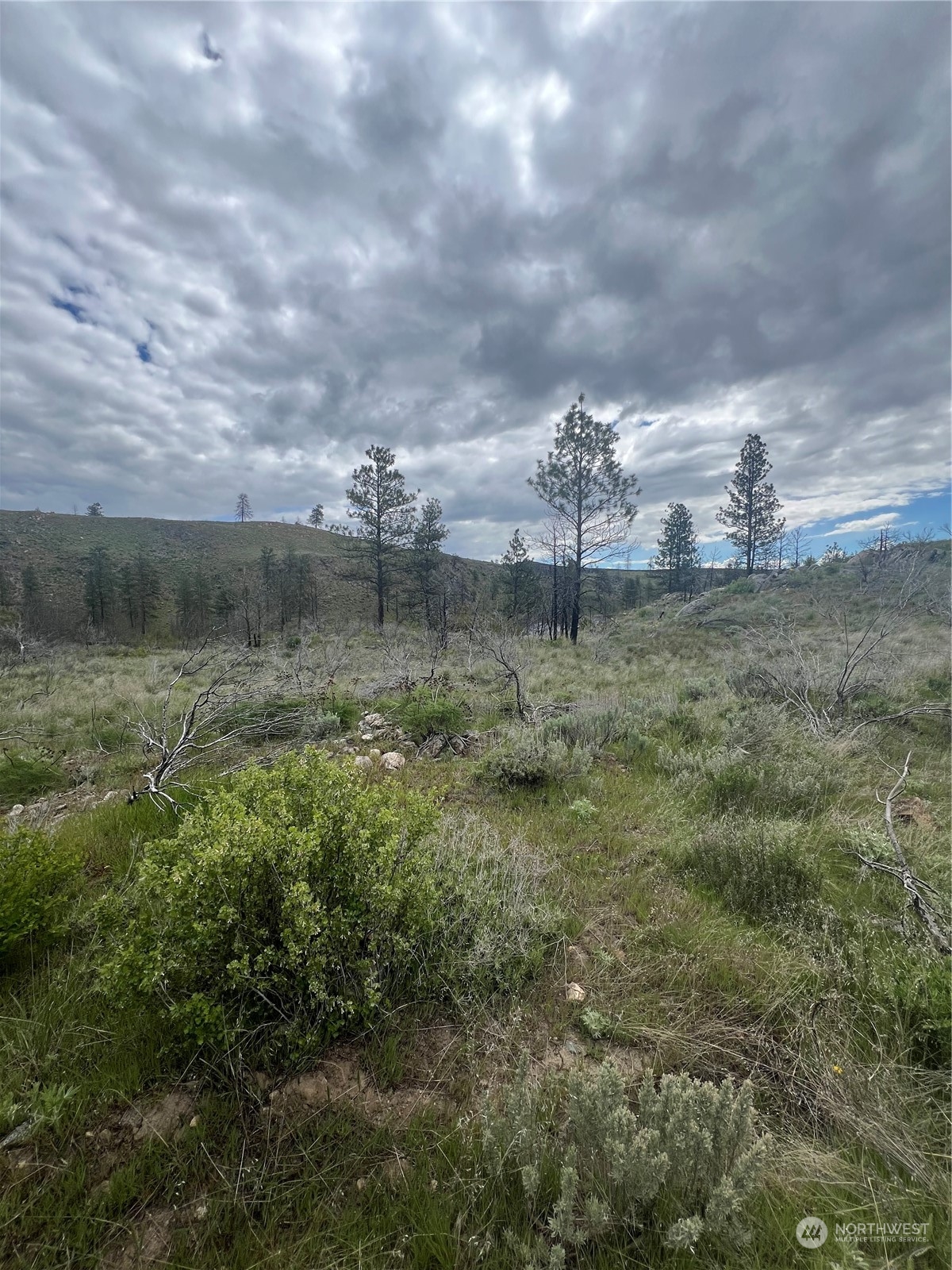 0 Tbd Madd Mountain Road Okanogan, WA 98840 - Photo 17 of 18 Gallery Image 17