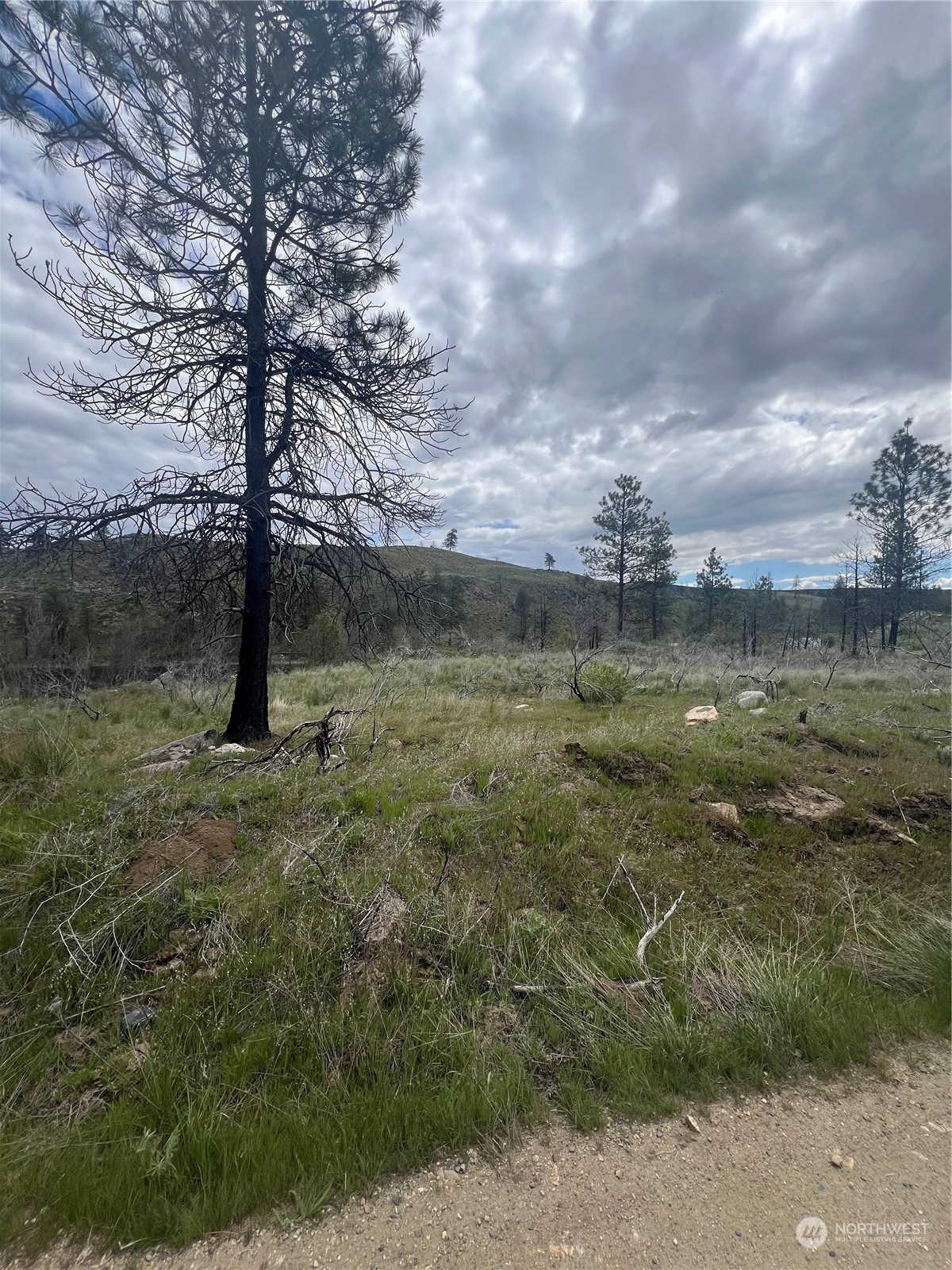 0 Tbd Madd Mountain Road Okanogan, WA 98840 - Photo 2 of 18 Gallery Image 2