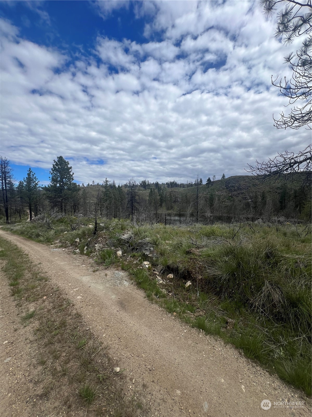 0 Tbd Madd Mountain Road Okanogan, WA 98840 - Photo 3 of 18 Gallery Image 3