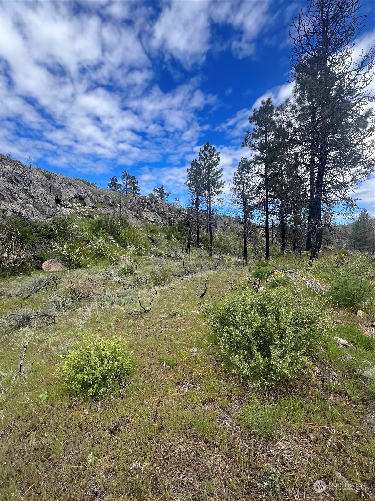 0 Tbd Madd Mountain Road Okanogan, WA 98840 - Photo 5 of 18 Gallery Image 5