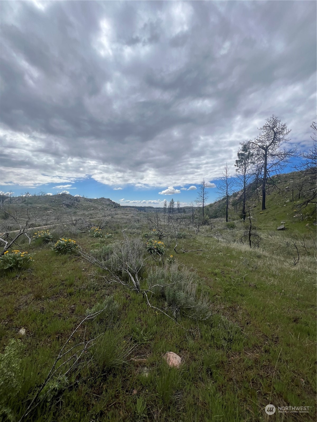 0 Tbd Madd Mountain Road Okanogan, WA 98840 - Photo 6 of 18 Gallery Image 6