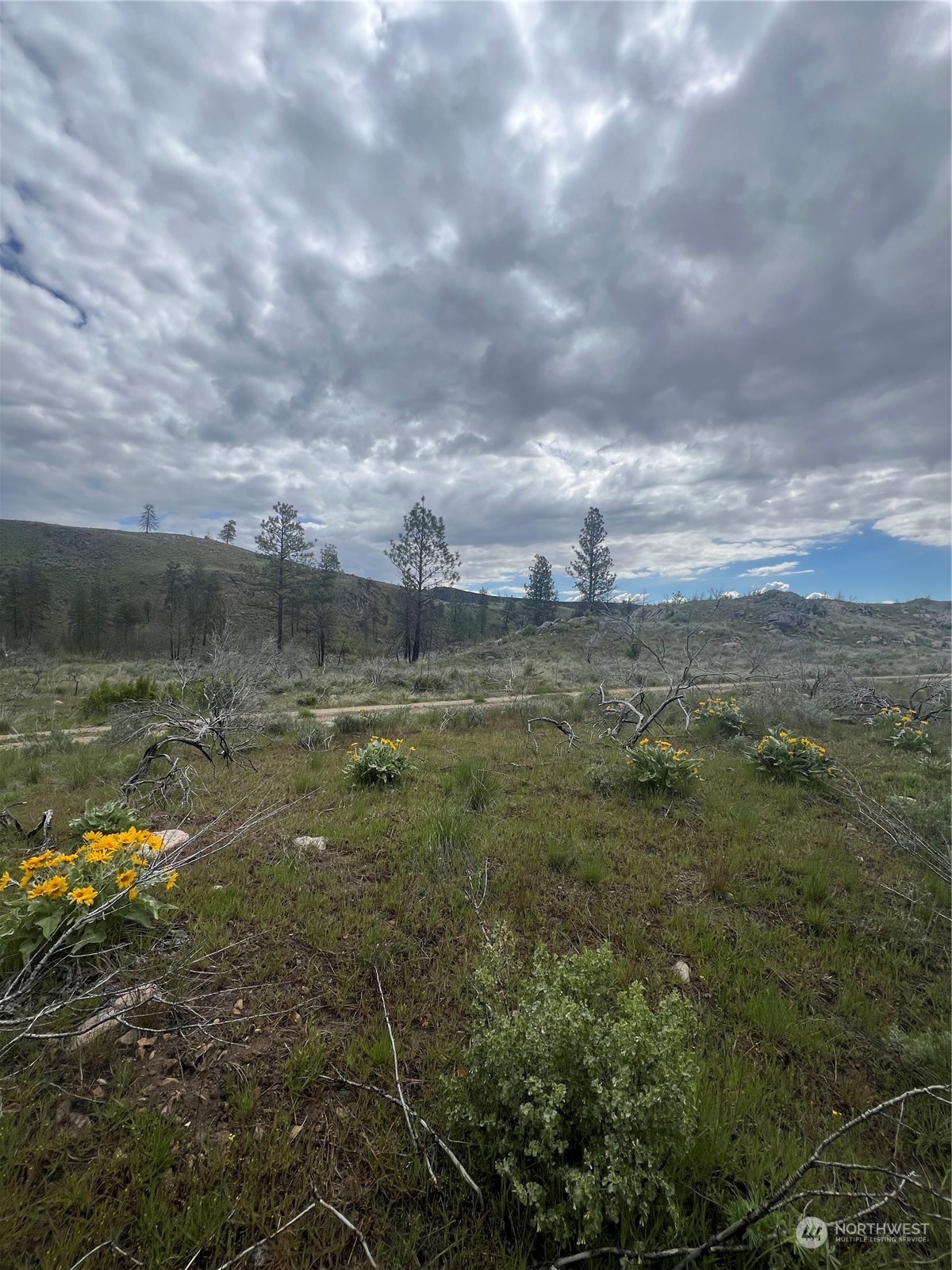 0 Tbd Madd Mountain Road Okanogan, WA 98840 - Photo 7 of 18 Gallery Image 7