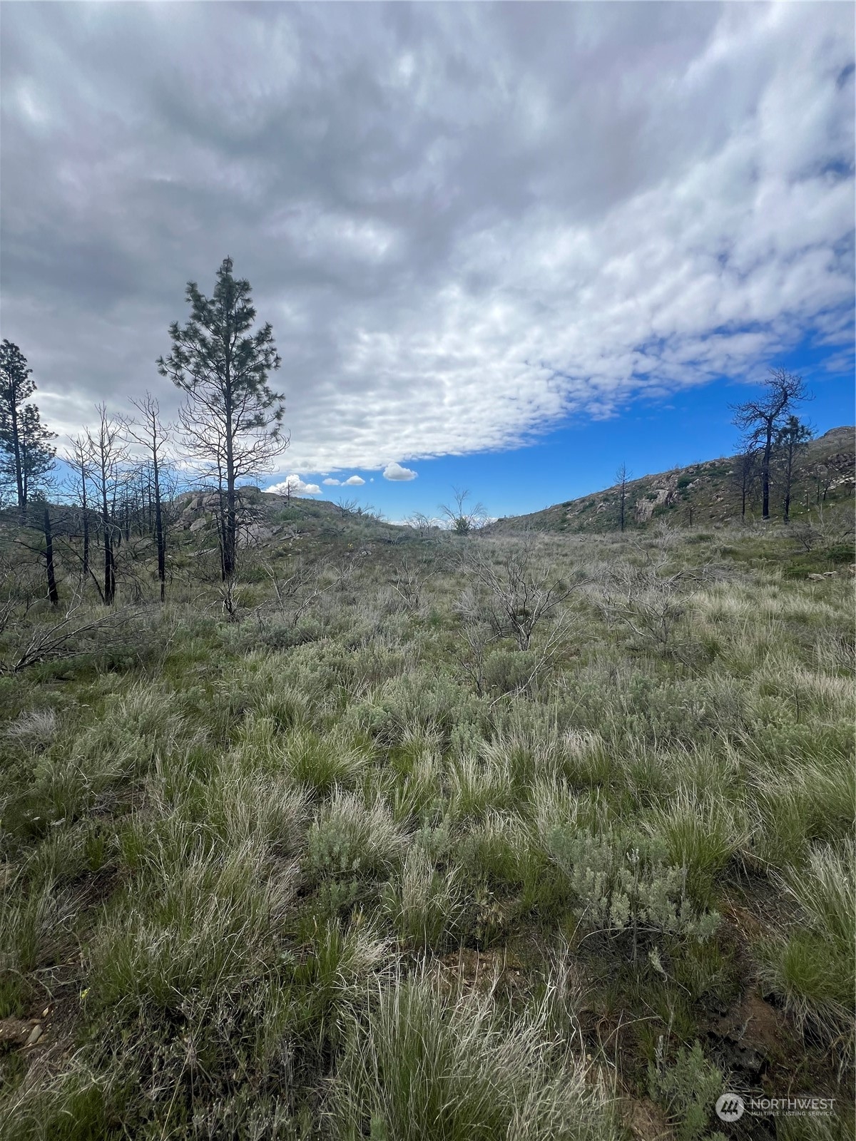 0 Tbd Madd Mountain Road Okanogan, WA 98840 - Photo 8 of 18 Gallery Image 8