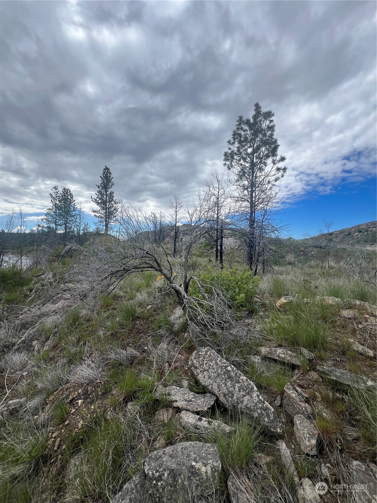 0 Tbd Madd Mountain Road Okanogan, WA 98840 - Photo 10 of 18 Gallery Image 10