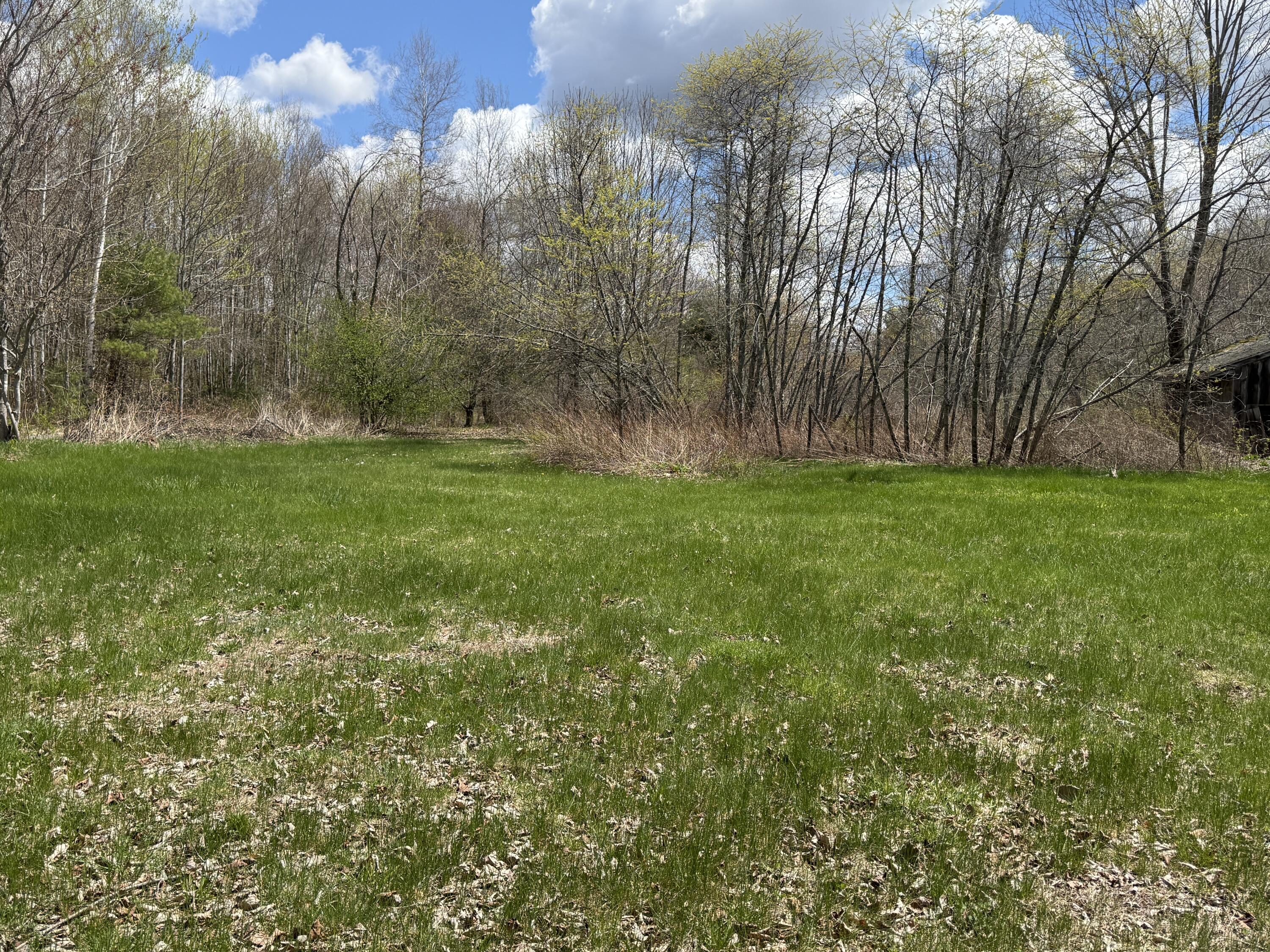 75 Nelson Ridge Road South Washington, ME 04574 - Photo 18 of 27 Lovely Land - +/- 3.7 acres