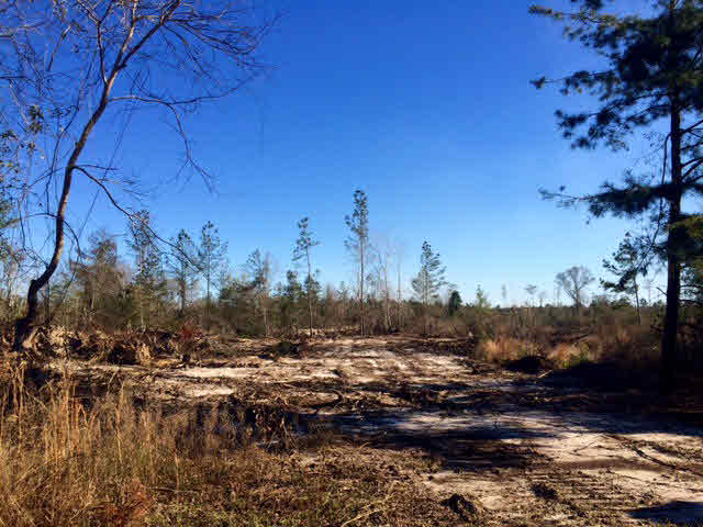 20932 Earl Phillips Road Little River, AL 36550 - Photo 13 of 17