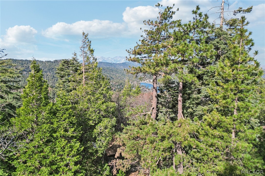 25274 N Road Twin Peaks, CA 92391 - Photo 29 of 41 a view of a lake with a city