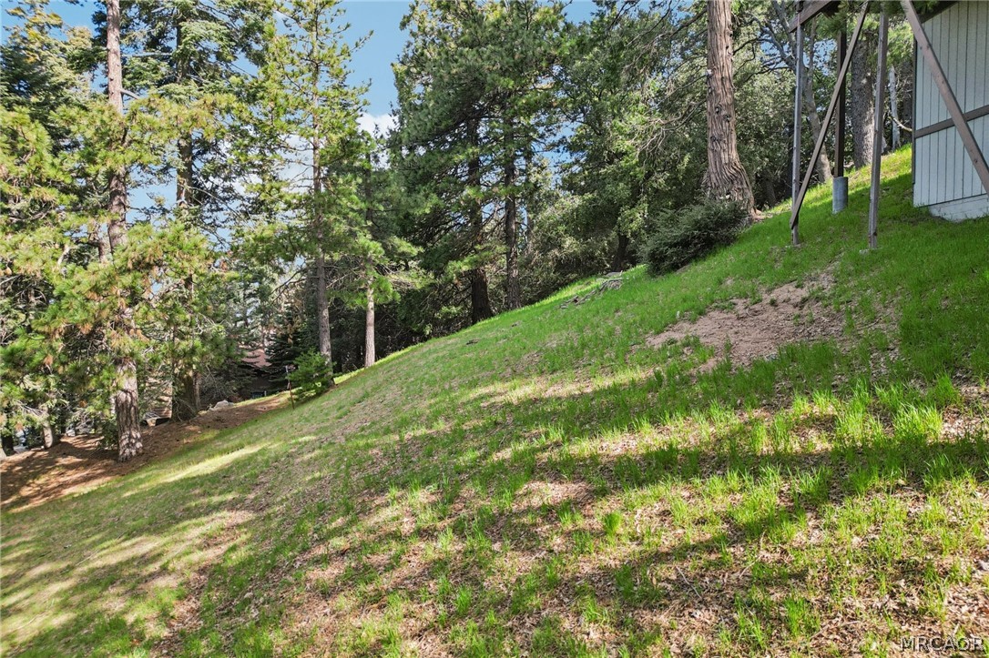 25274 N Road Twin Peaks, CA 92391 - Photo 32 of 41 a view of a trees with a yard