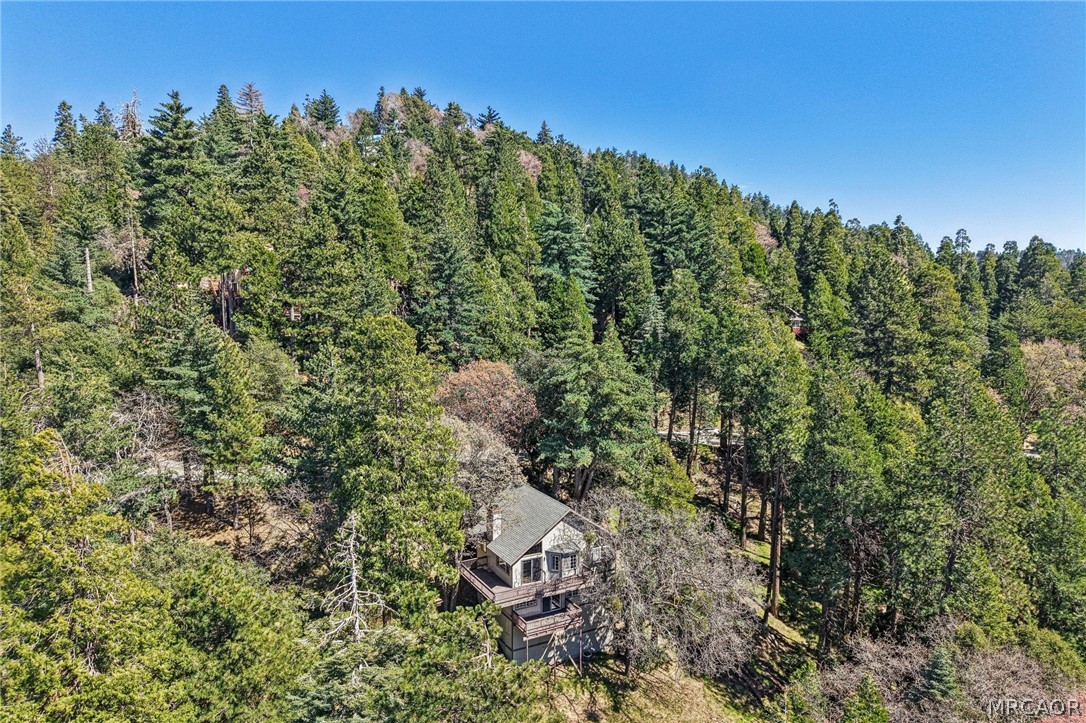 25274 N Road Twin Peaks, CA 92391 - Photo 38 of 41 a view of a forest with a tree in the background