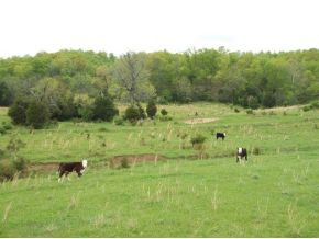 Tbd Henson Road, Unit 18 Bristol, TN 37620 - Photo 3 of 6 Photo 3