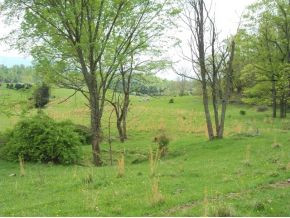 Tbd Henson Road, Unit 18 Bristol, TN 37620 - Photo 6 of 6 Photo 6