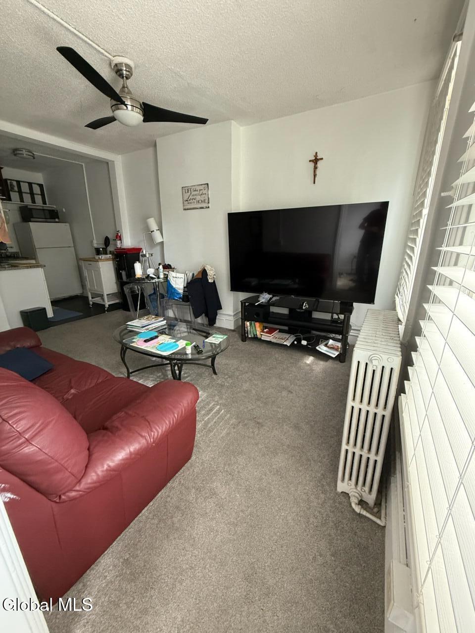 5 Irving Street, Unit 3 Albany, NY 12202 - Photo 6 of 8 IMG_9924