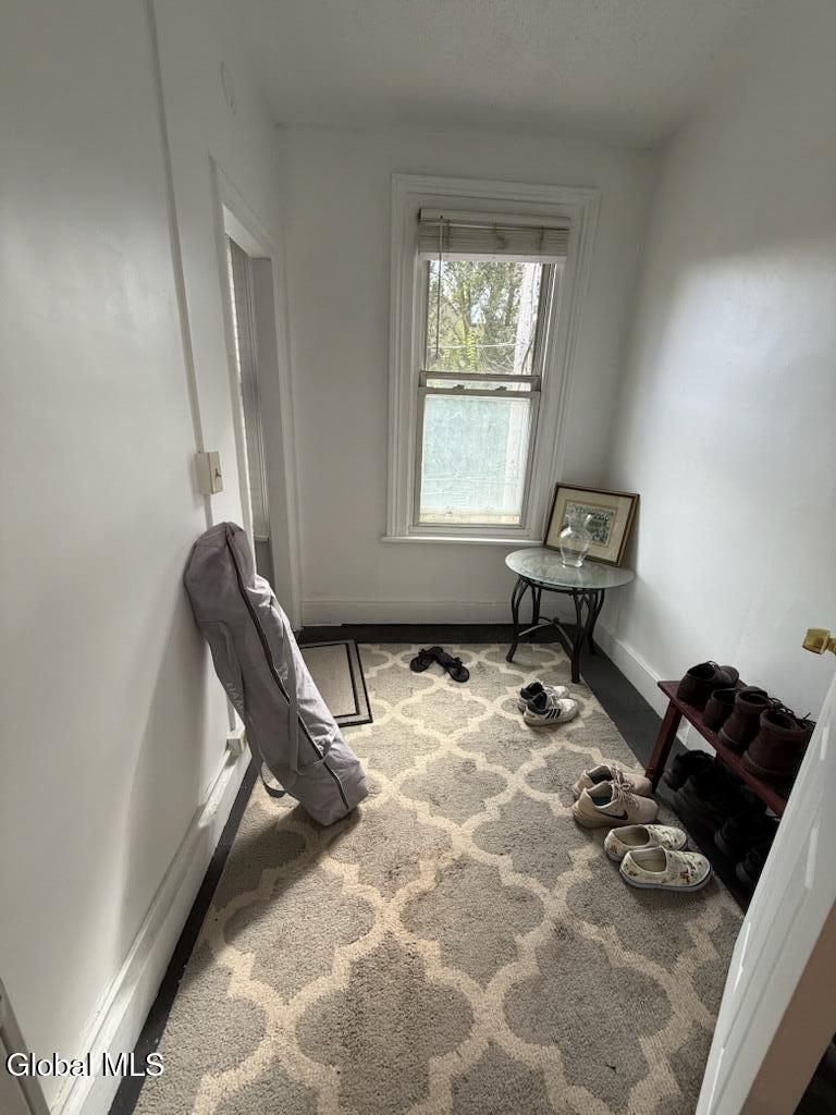 5 Irving Street, Unit 3 Albany, NY 12202 - Photo 7 of 8 IMG_9923