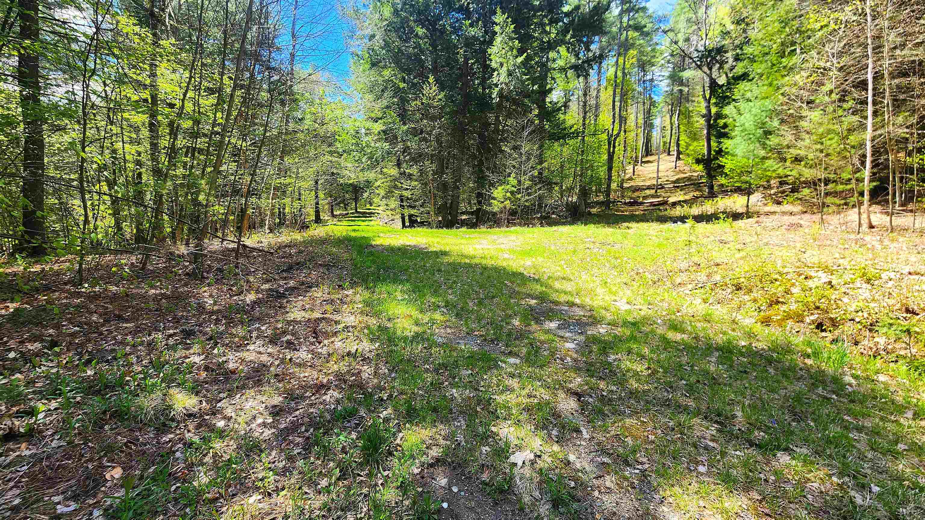 0 Linden Way Chester, VT 05143 - Photo 13 of 22