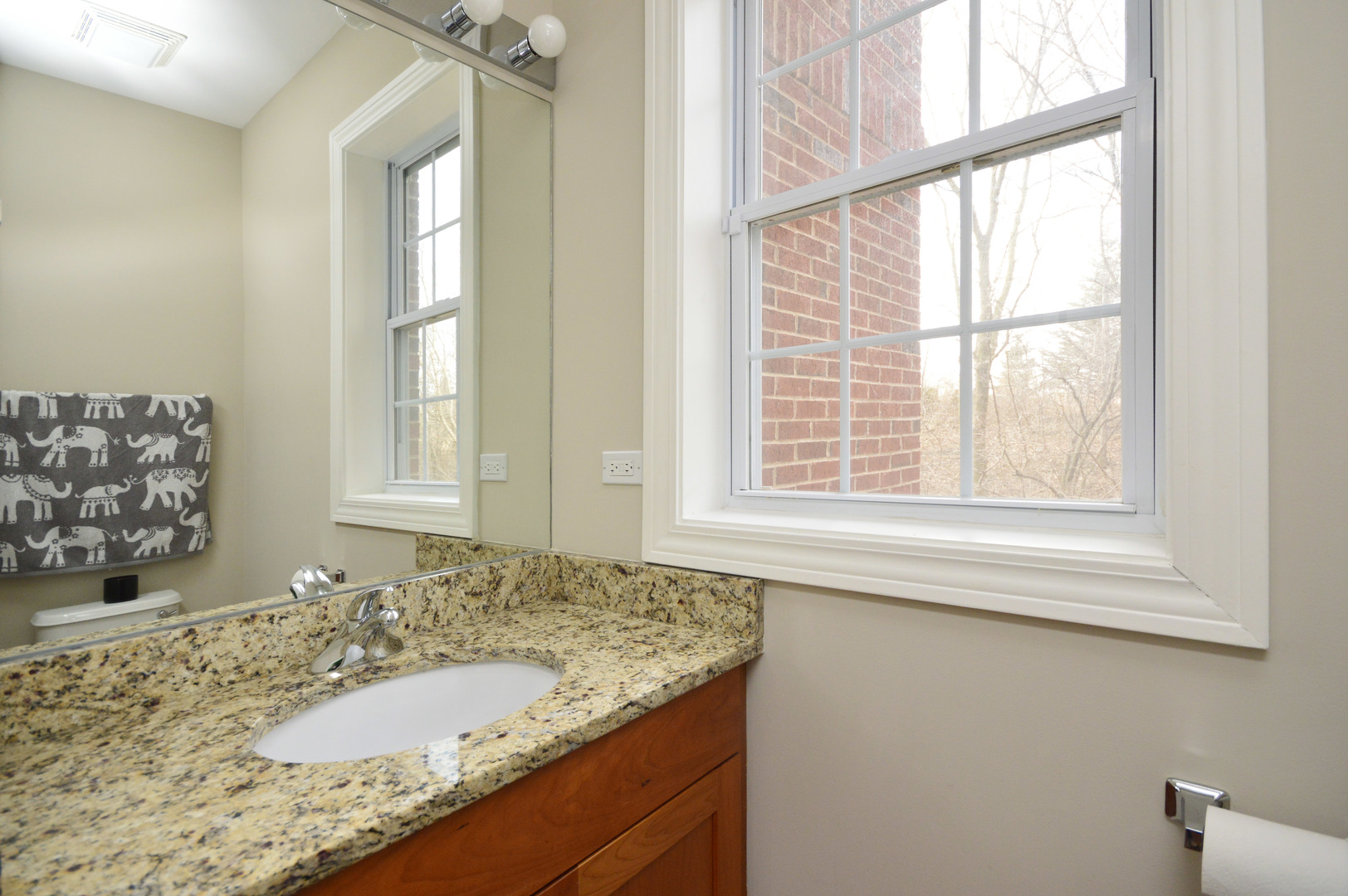 1631 Church Street Evanston, IL 60201 - Photo 15 of 19 a bathroom with a granite countertop sink and a window