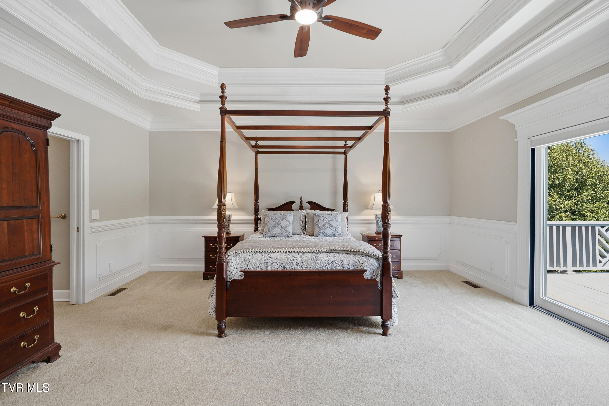 292 Alpine Trail Kingsport, TN 37663 - Photo 30 of 99 Tray ceiling