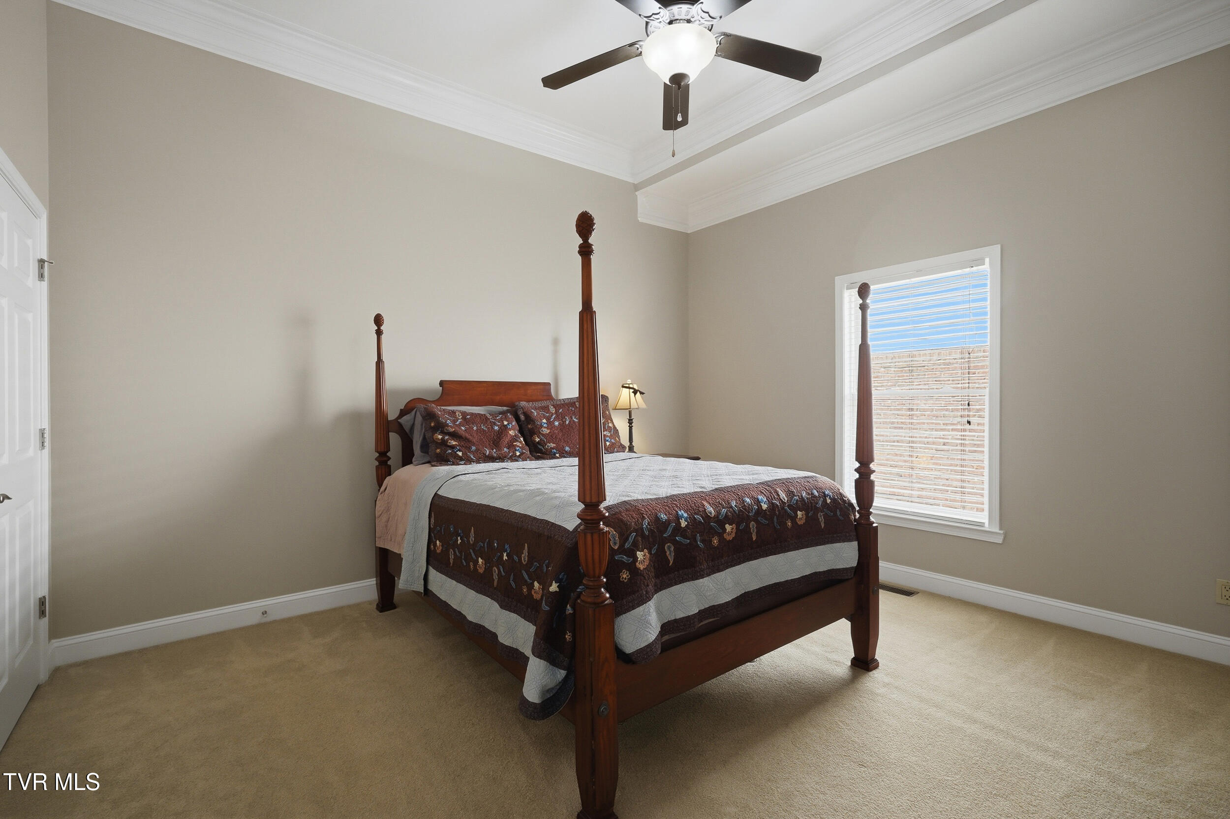 292 Alpine Trail Kingsport, TN 37663 - Photo 61 of 99 61_292 alpine trail-87