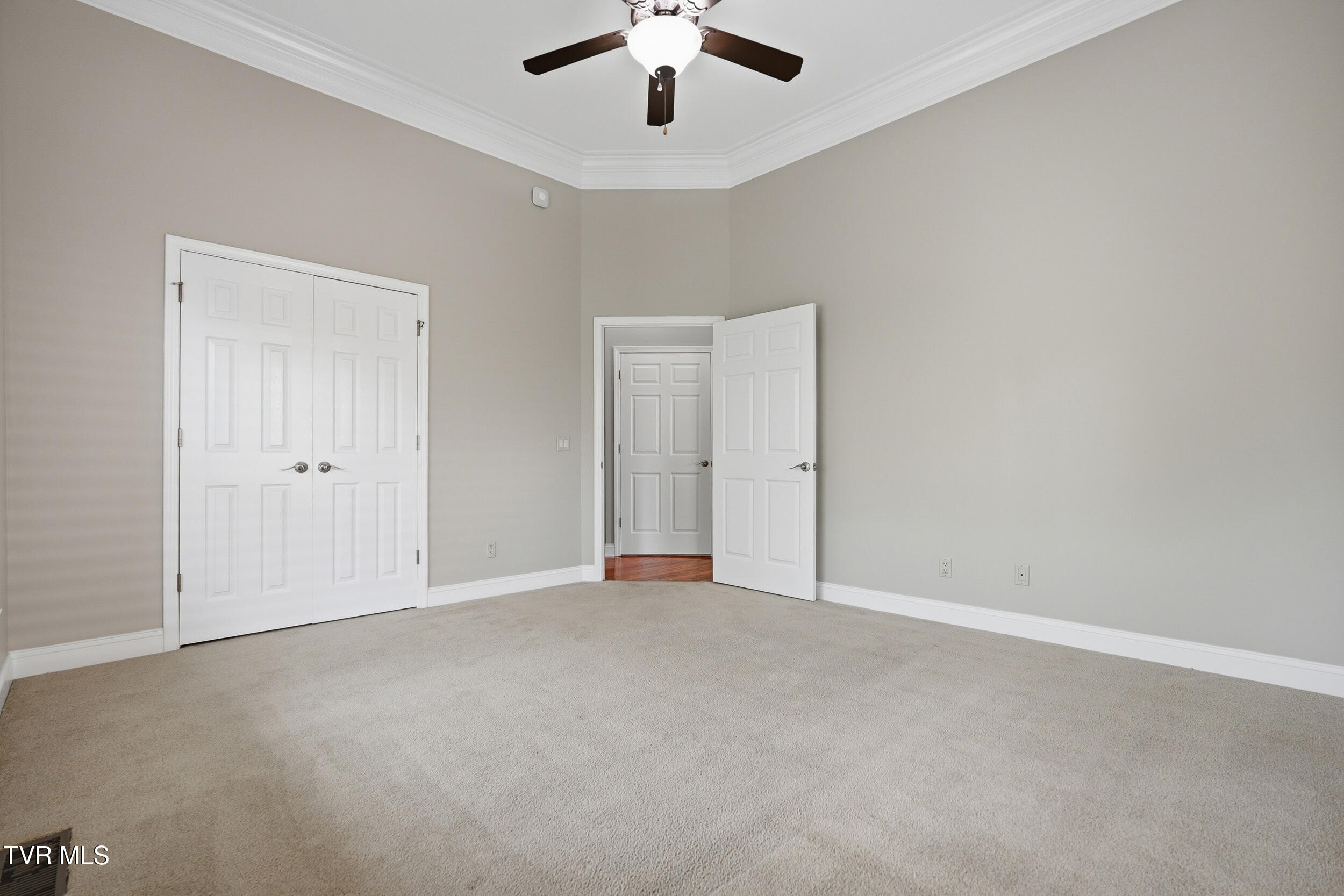 292 Alpine Trail Kingsport, TN 37663 - Photo 63 of 99 Double door closet