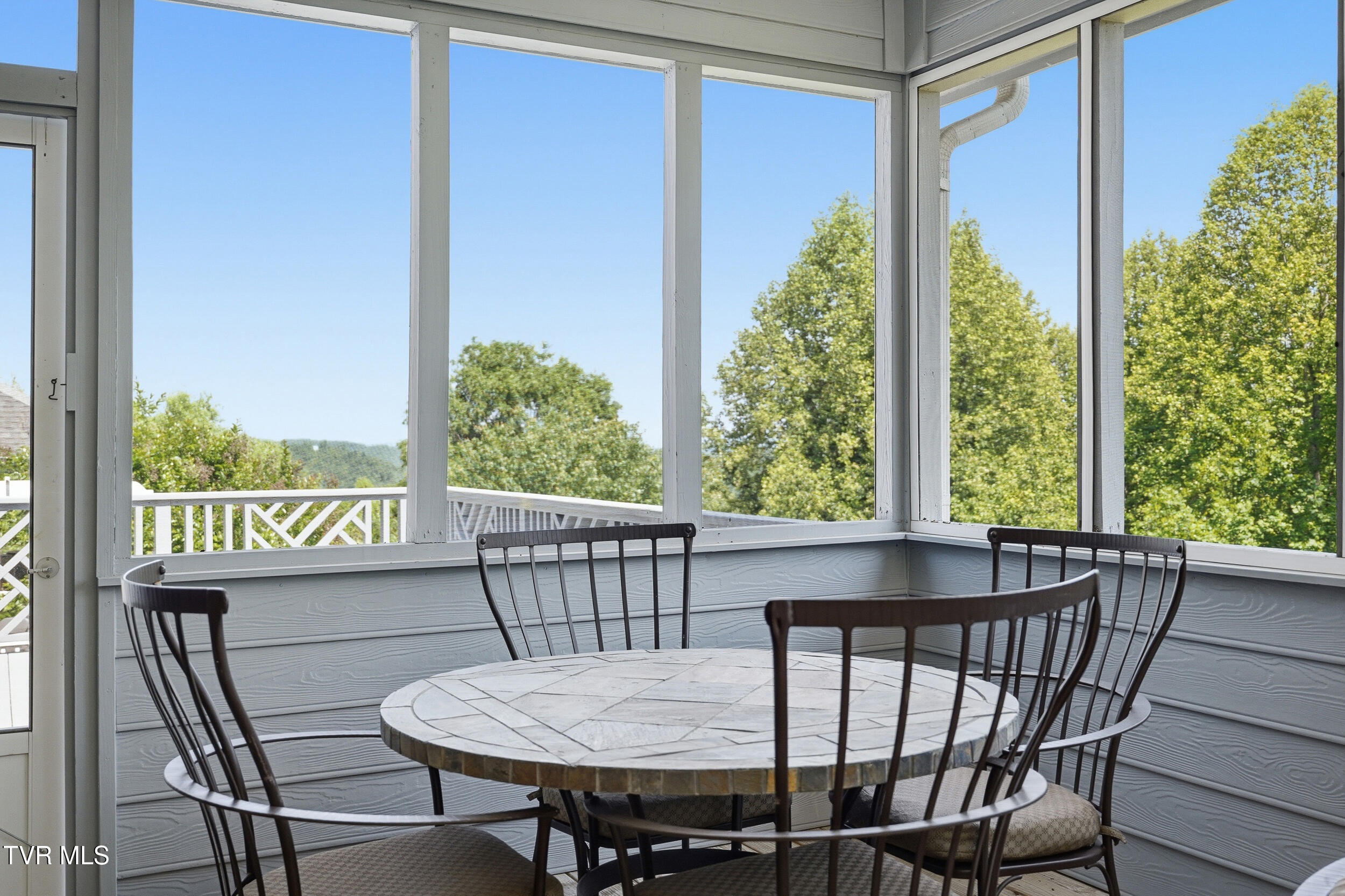 292 Alpine Trail Kingsport, TN 37663 - Photo 79 of 99 Tree line view