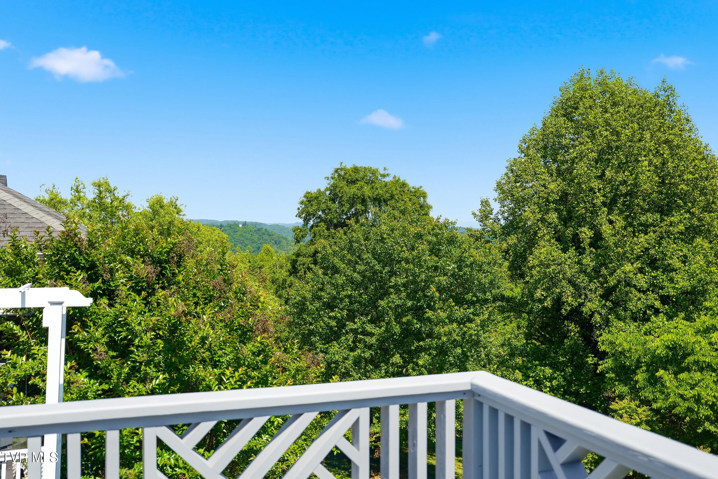 292 Alpine Trail Kingsport, TN 37663 - Photo 82 of 99 82_292 alpine trail-99