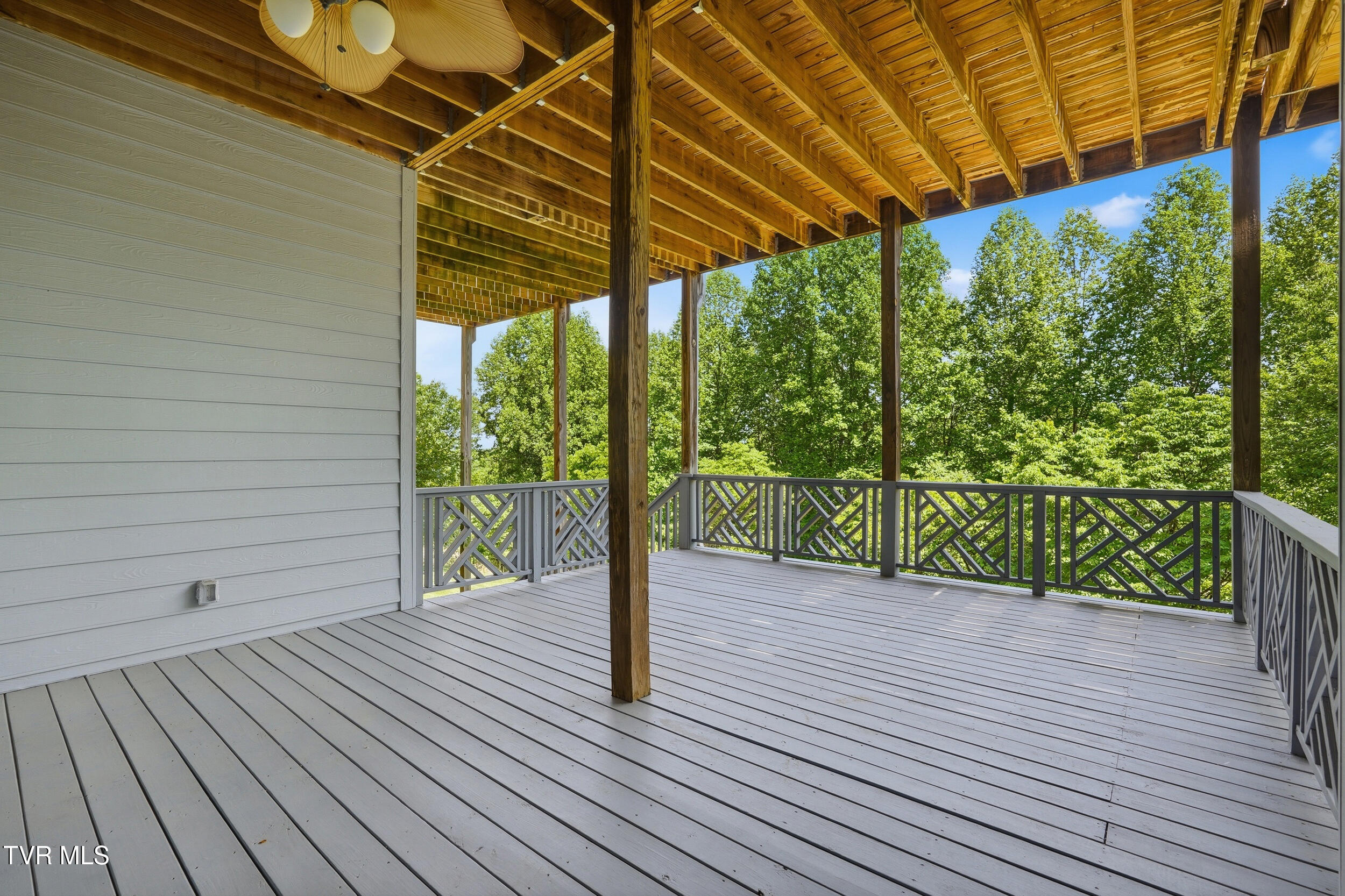 292 Alpine Trail Kingsport, TN 37663 - Photo 85 of 99 Lower Deck