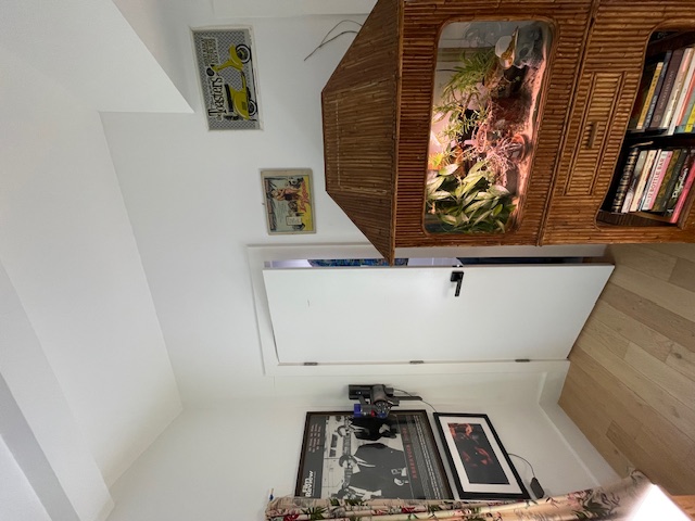 2910 Pecan Springs Road, Unit A Austin, TX 78723 - Photo 17 of 39 Entry featuring light wood finished floors