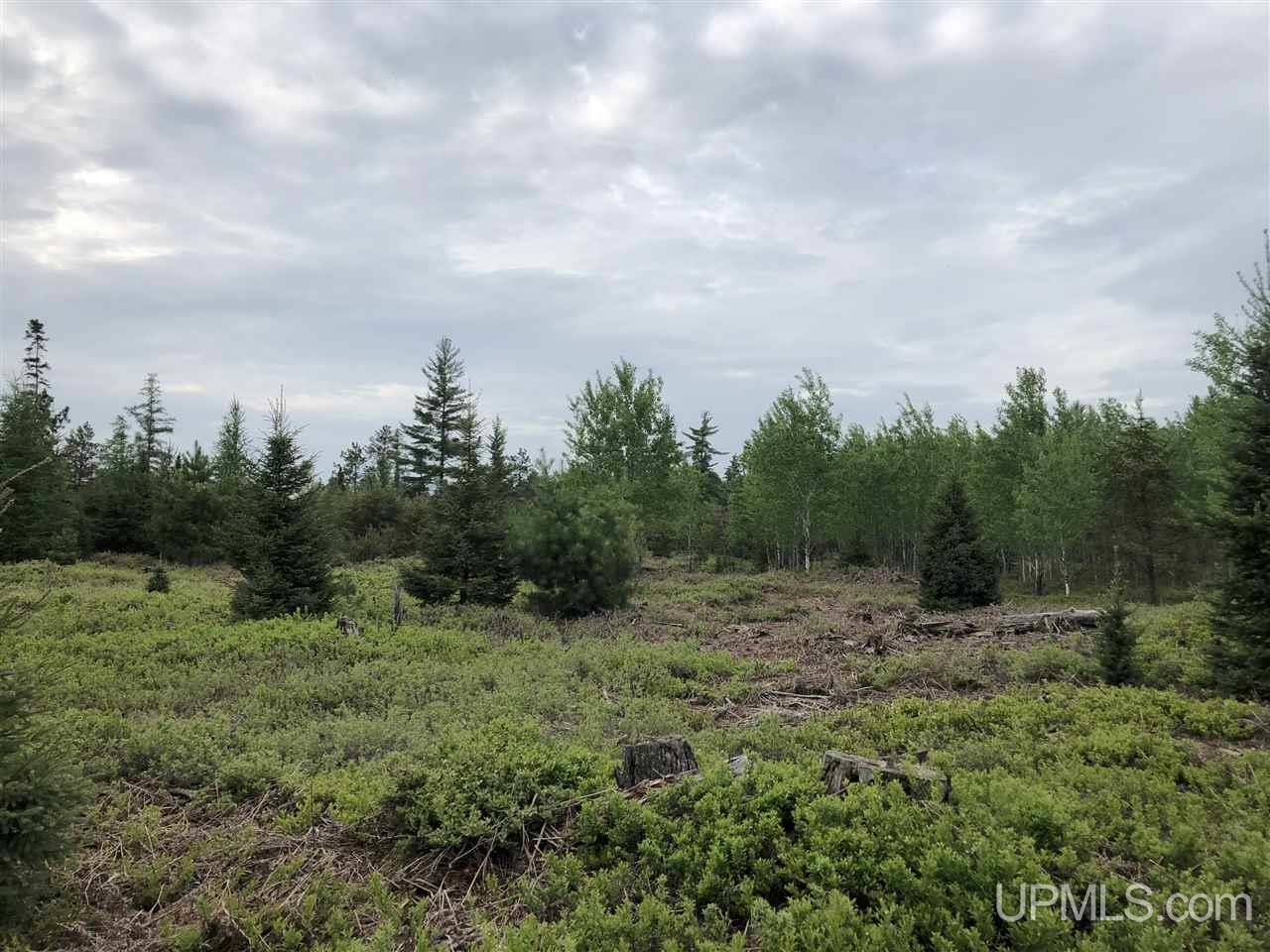 Tbd River Road, Unit PARCEL 4 Gulliver, MI 49854 - Photo 8 of 13 Gallery Image 8
