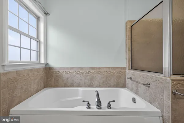 a view of a park with tree s