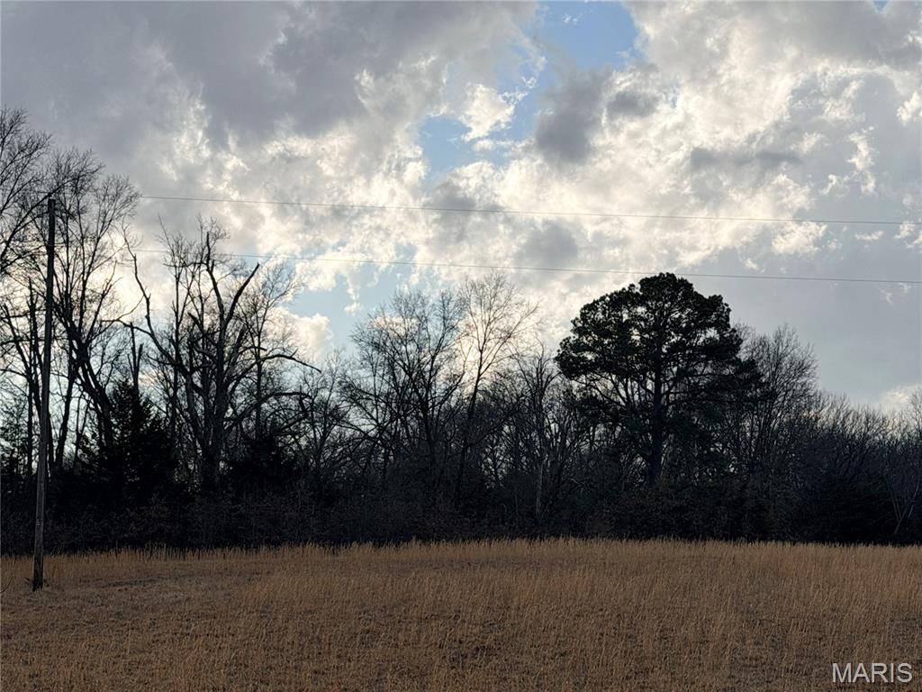 1-d 935 Audrain Road Mexico, MO 65265 - Photo 2 of 5