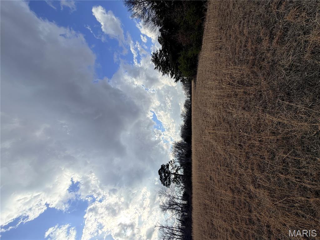 1-d 935 Audrain Road Mexico, MO 65265 - Photo 4 of 5