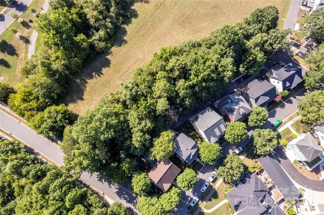 a picture of flowers