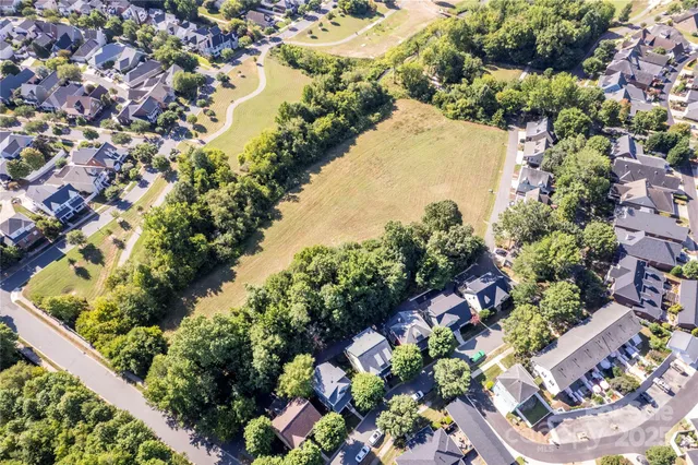 a view of a garden with plants