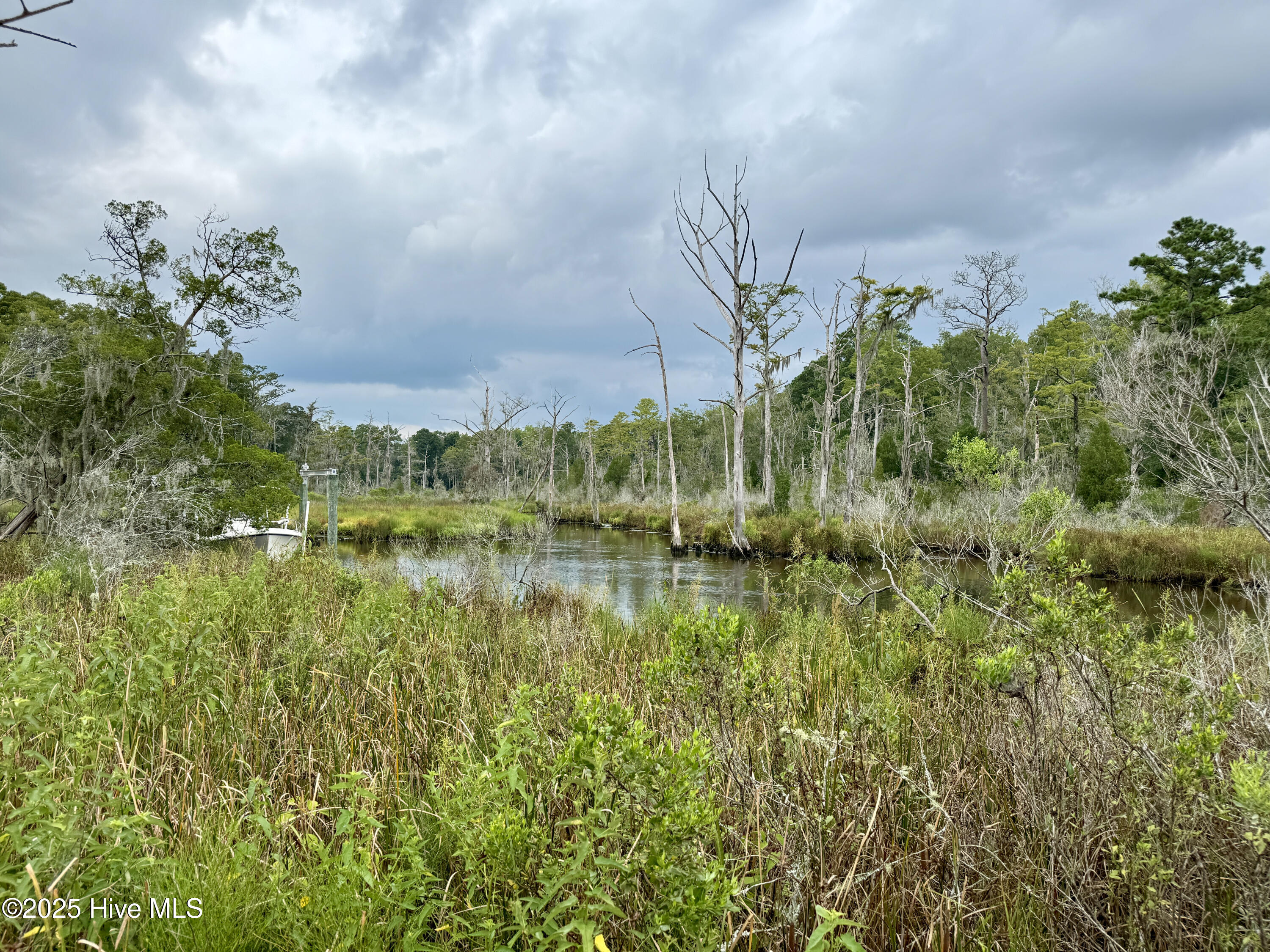 263 Treasure Point Road Bath, NC 27808 - Photo 12 of 72 1A759498-2500-4063-8D3B-3171D7BA02C9_1_2