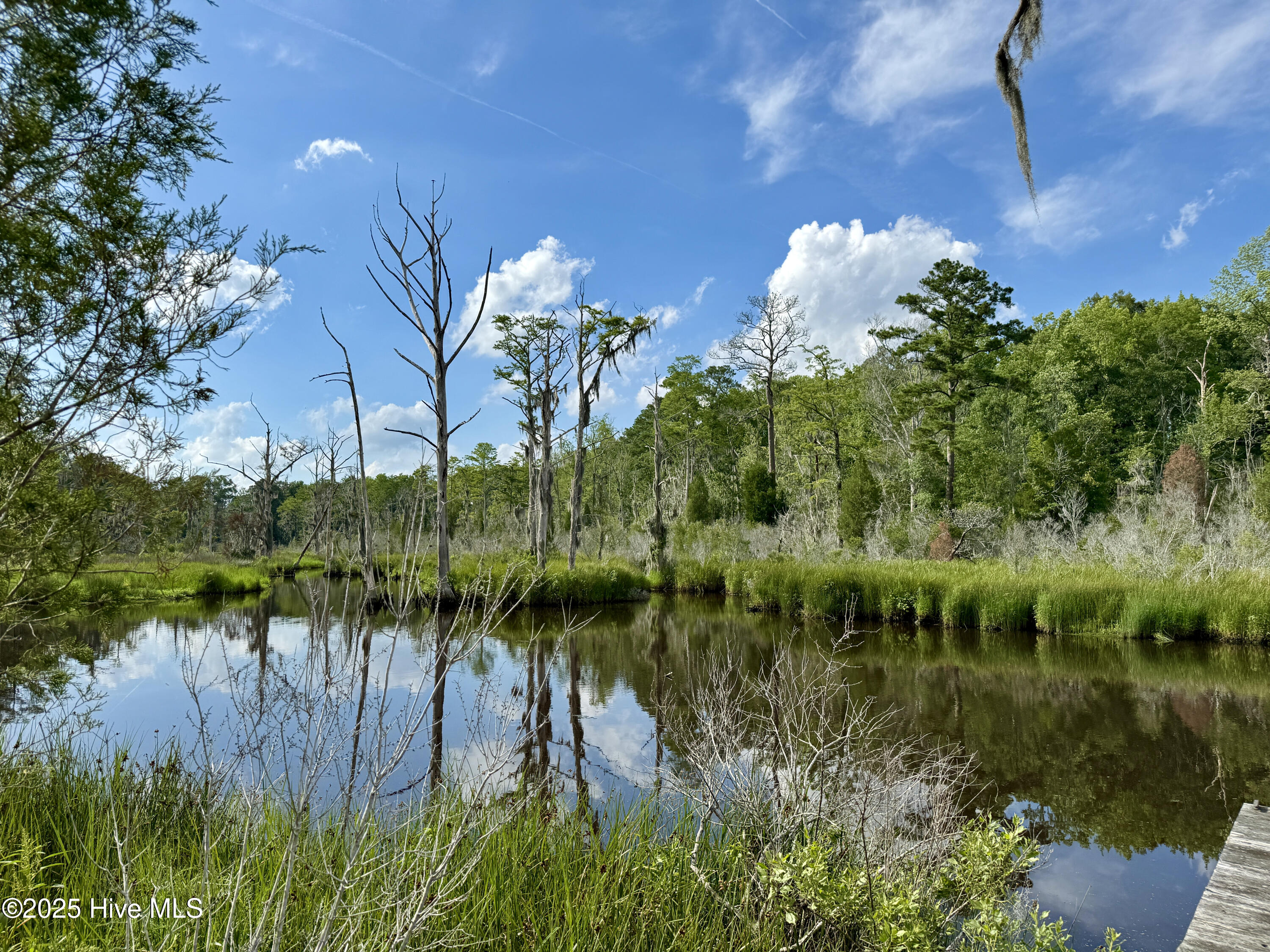 263 Treasure Point Road Bath, NC 27808 - Photo 24 of 76 5D08BD14-E0F4-41C5-887A-B46D85642330_1_2
