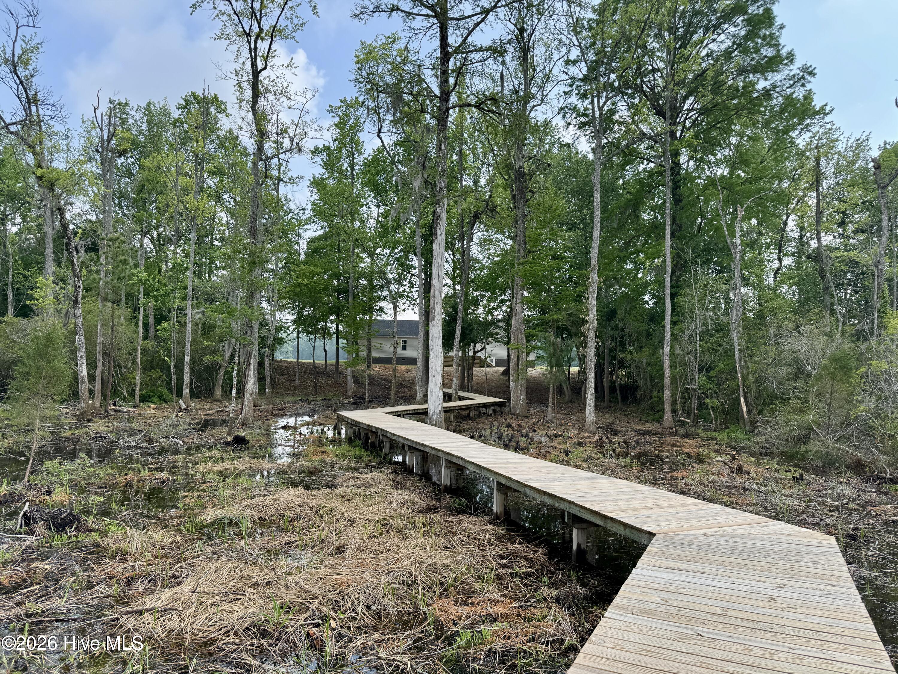 263 Treasure Point Road Bath, NC 27808 - Photo 29 of 76 IMG_2843