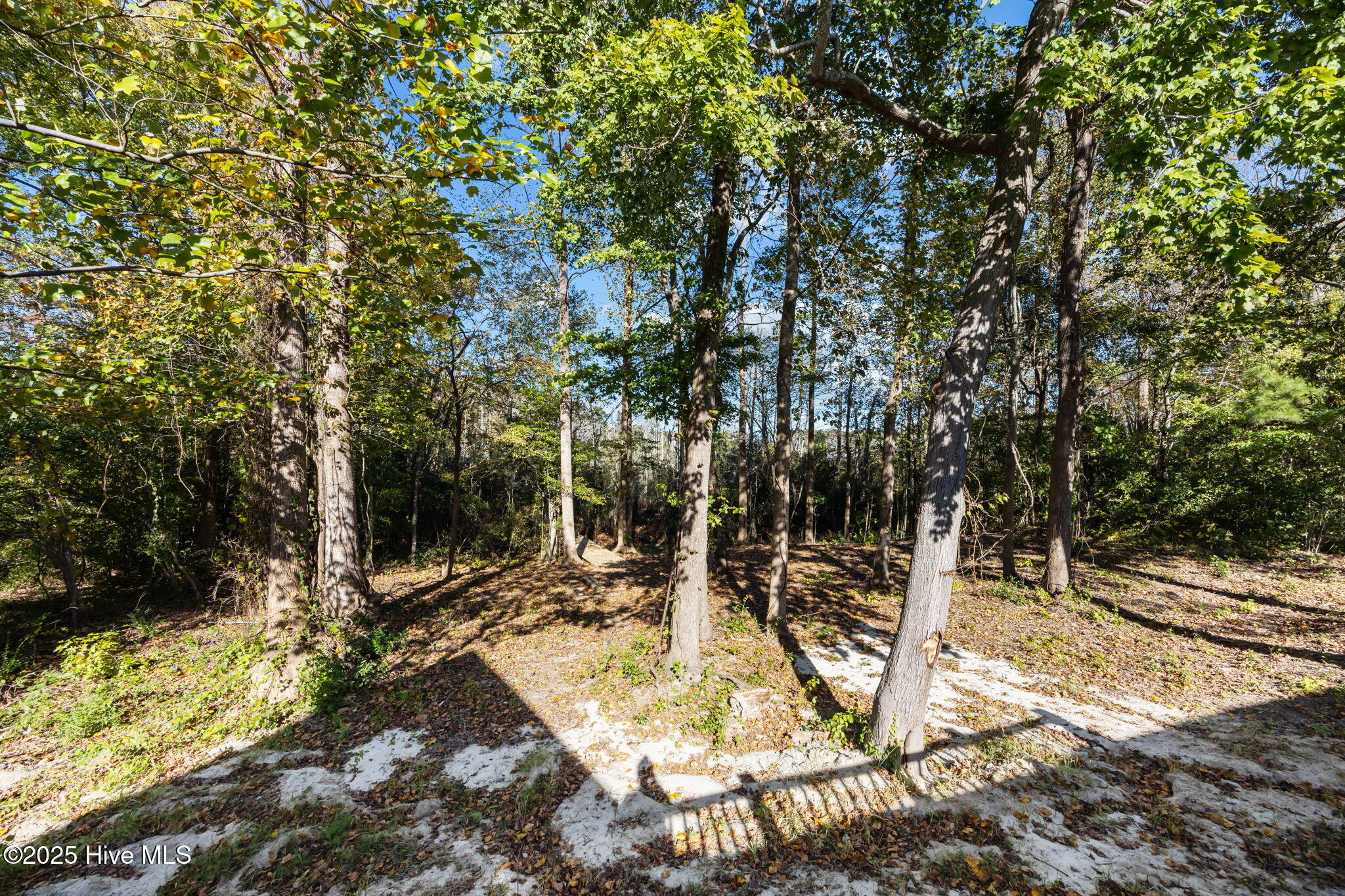 263 Treasure Point Road Bath, NC 27808 - Photo 55 of 72 BB528EBD-6CA6-4D5C-B59F-794BB1BEF391