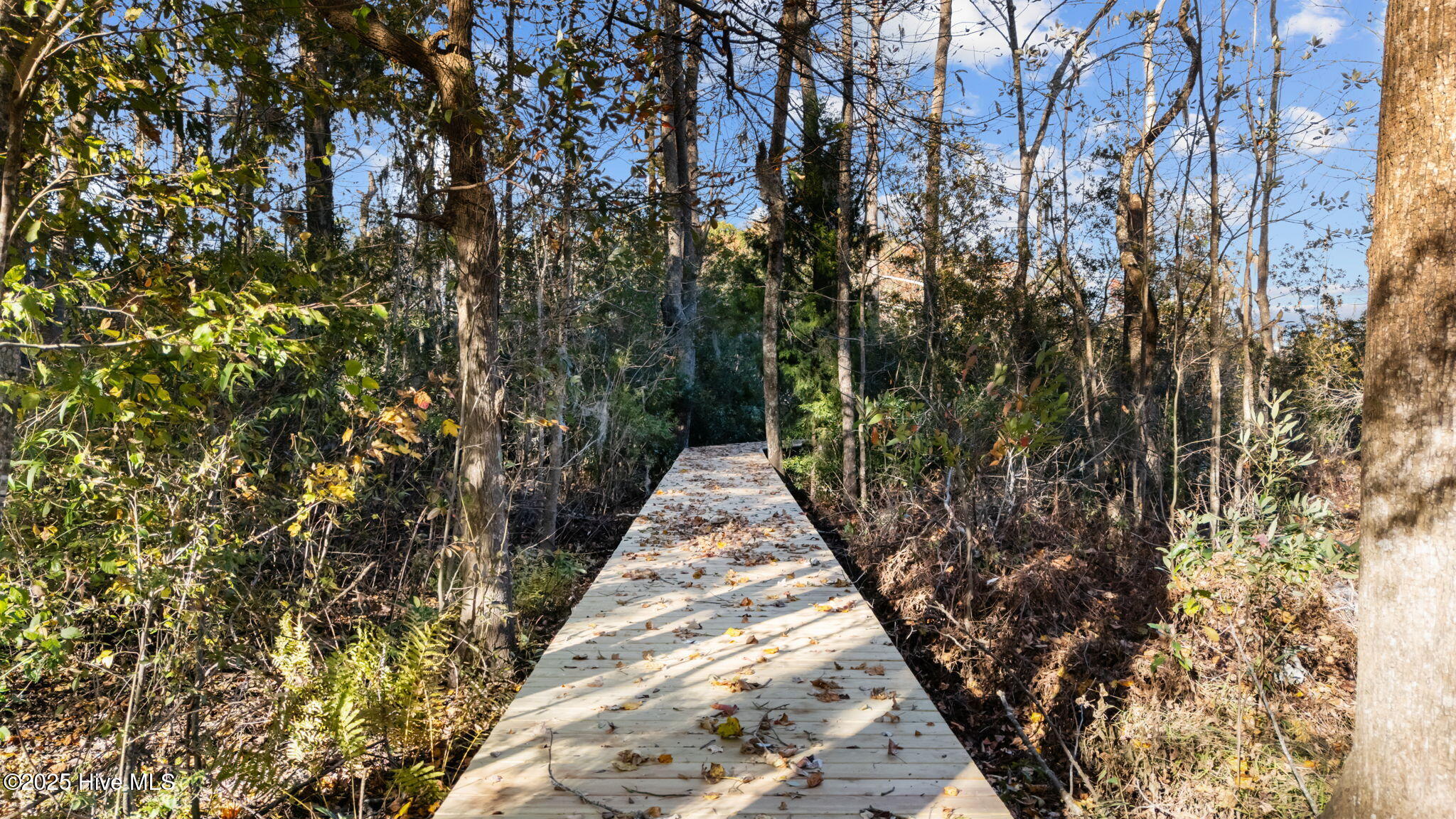 263 Treasure Point Road Bath, NC 27808 - Photo 56 of 72 DD0DB0B6-2379-4265-83D4-398543996436