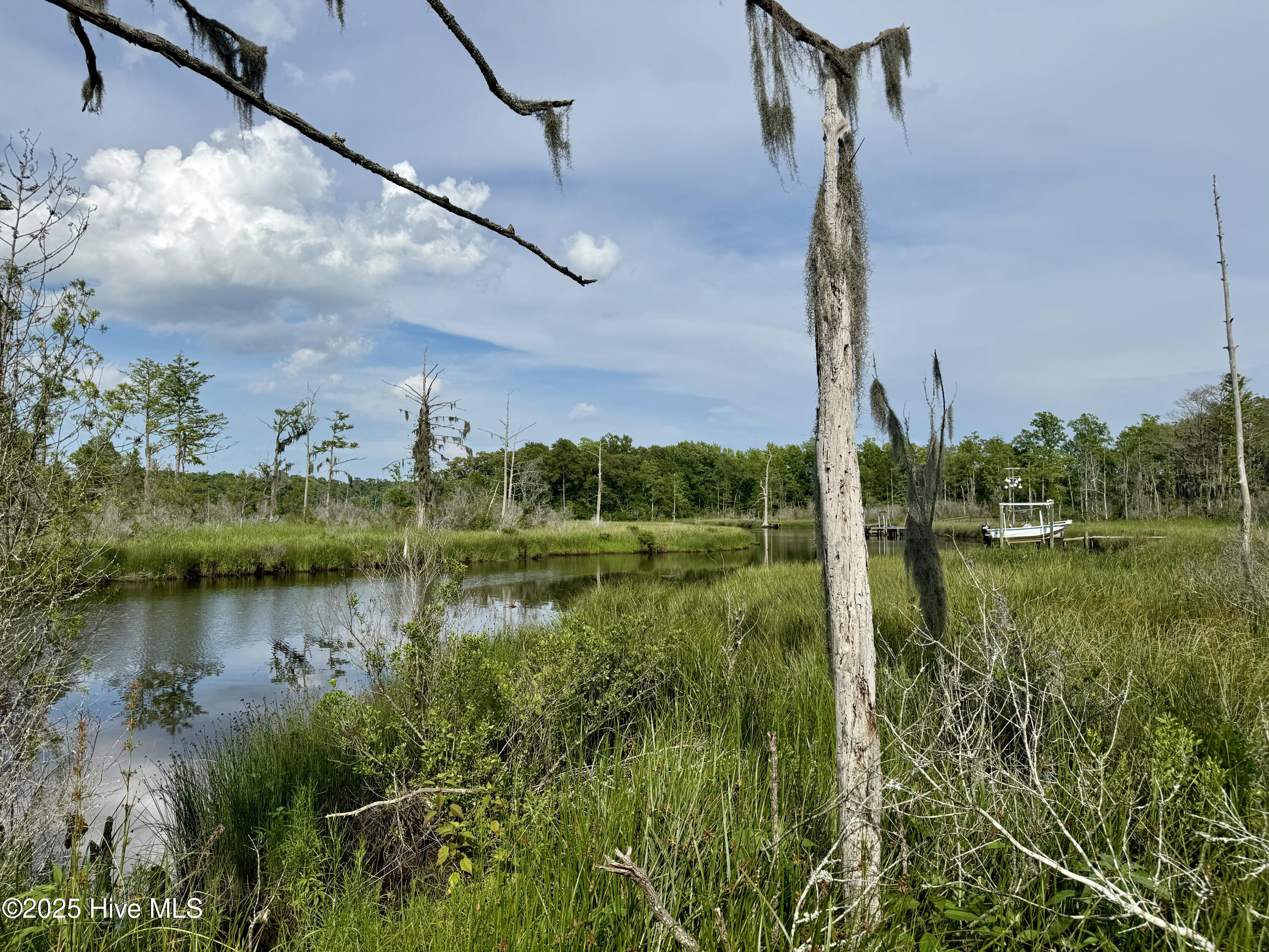 263 Treasure Point Road Bath, NC 27808 - Photo 10 of 72 710CBD32-7814-4269-BF3A-20E8B881B4A5_1_2