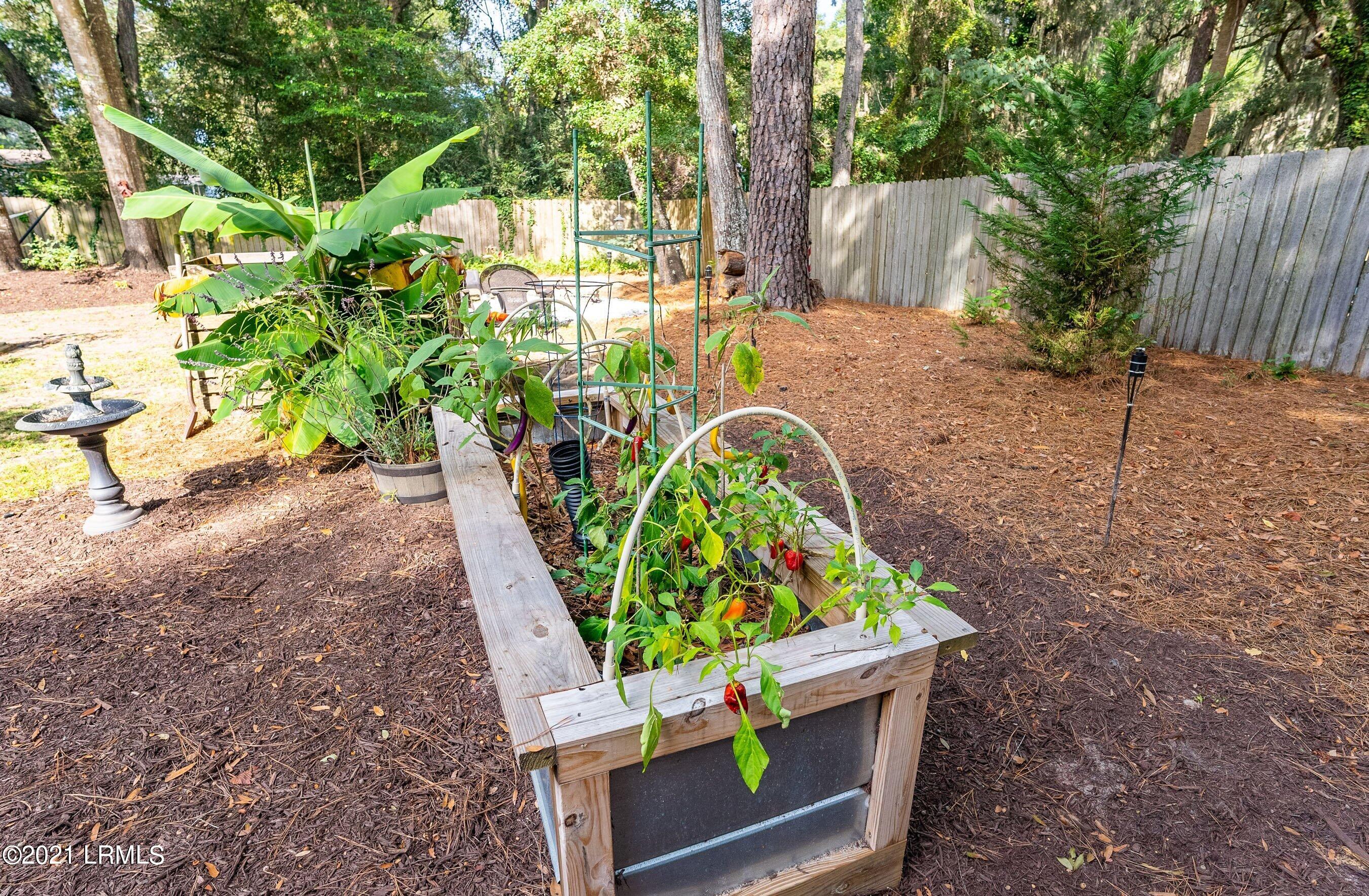 13 Little Capers Road Beaufort, SC 29907 - Photo 31 of 33 Backyard